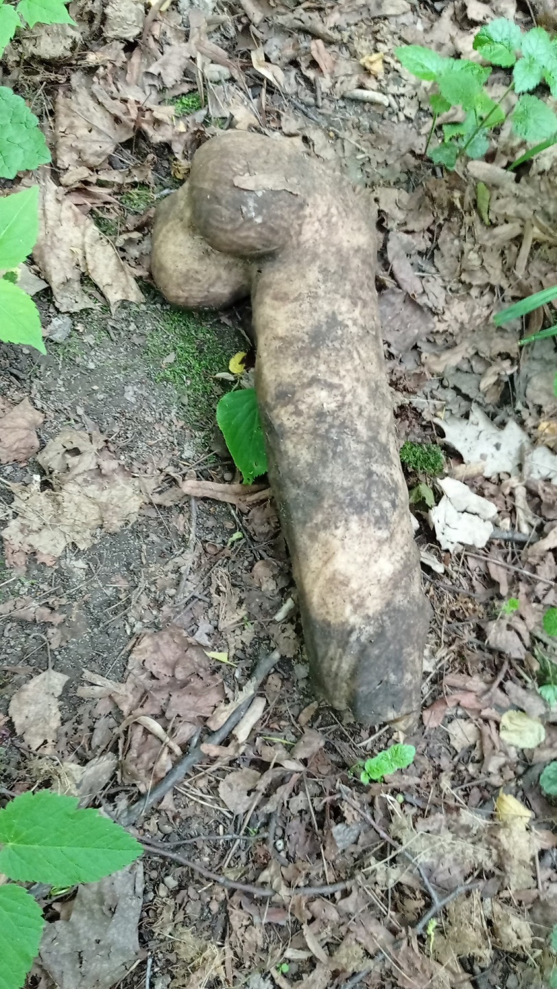 812x1440, 607 Kb / хуй, член, дилдо, грязь