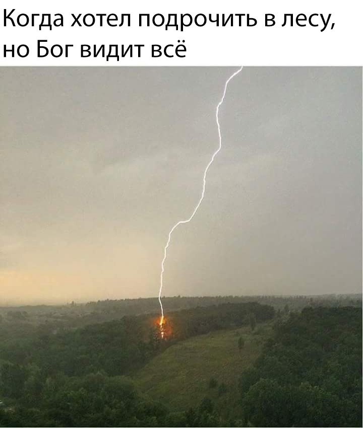 720x850, 89 Kb / молния, лес, грех,  Бог