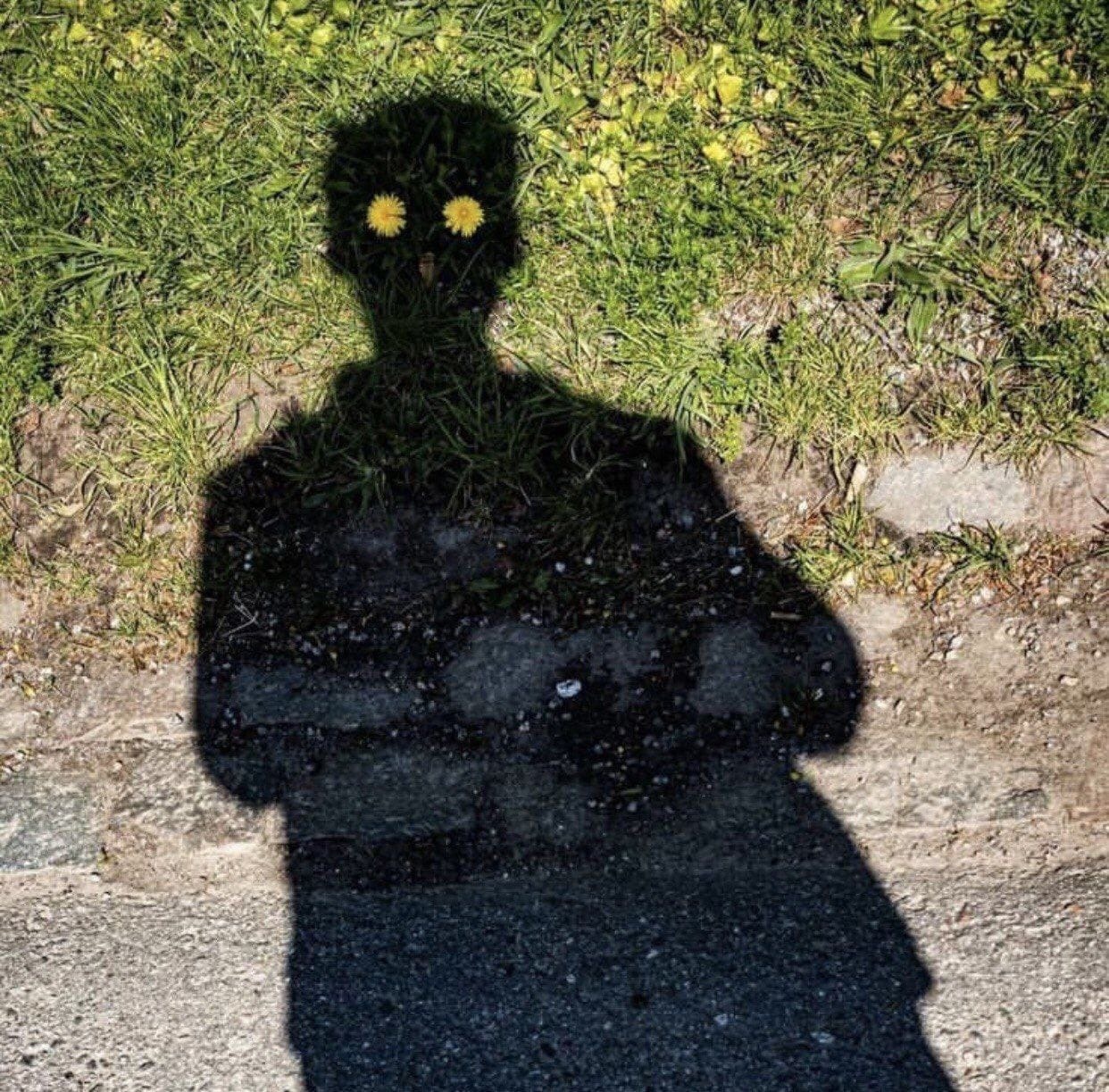 1242x1223, 583 Kb / тень, глаза, одуванчики