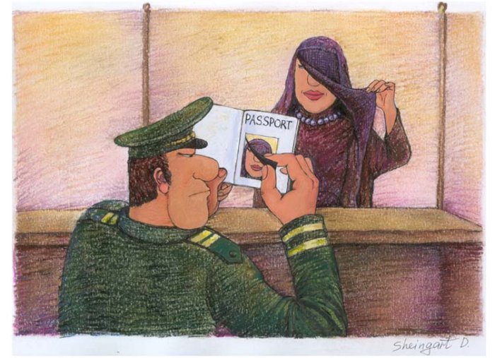 700x507, 76 Kb / таможенник, паспорт