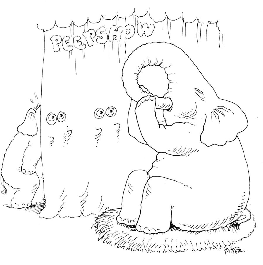 898x904, 73 Kb / Klaus Pitter, хобот