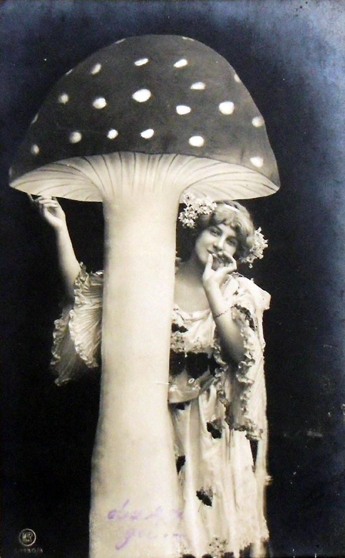 700x1131, 361 Kb / женщина, мухомор, платье, венок, ч/б