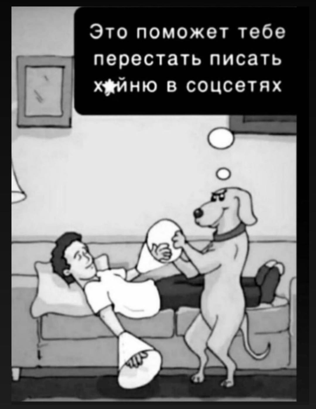 1079x1396, 151 Kb / собака, диван, хуйня