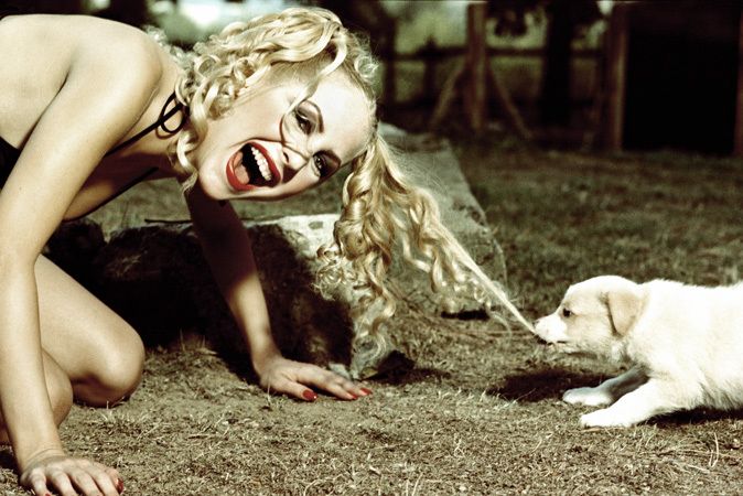 674x450, 71 Kb / щенок, блондинка, волосы