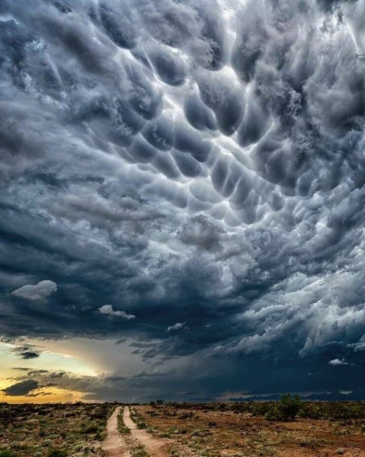 740x925, 73 Kb / облака, asperitas, небо, прерия, дорога