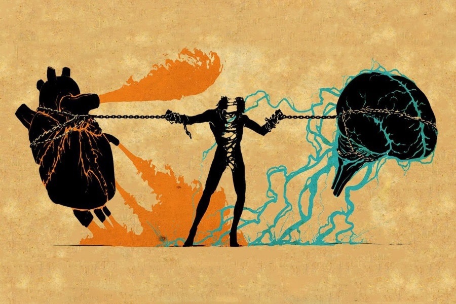 900x600, 221 Kb / сердце, мозг, ум, разум, разрыв, человек