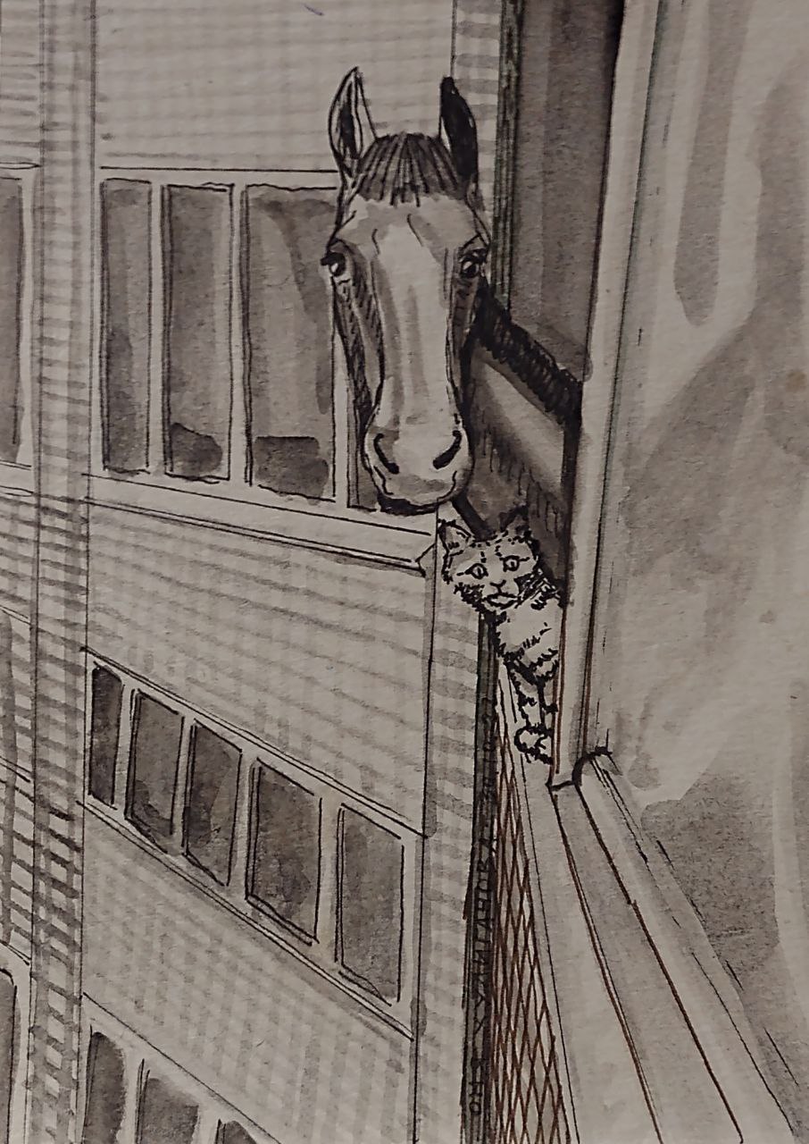 906x1280, 214 Kb / окно, кот, конь, лошадь, перашки, рисунок, ч/б