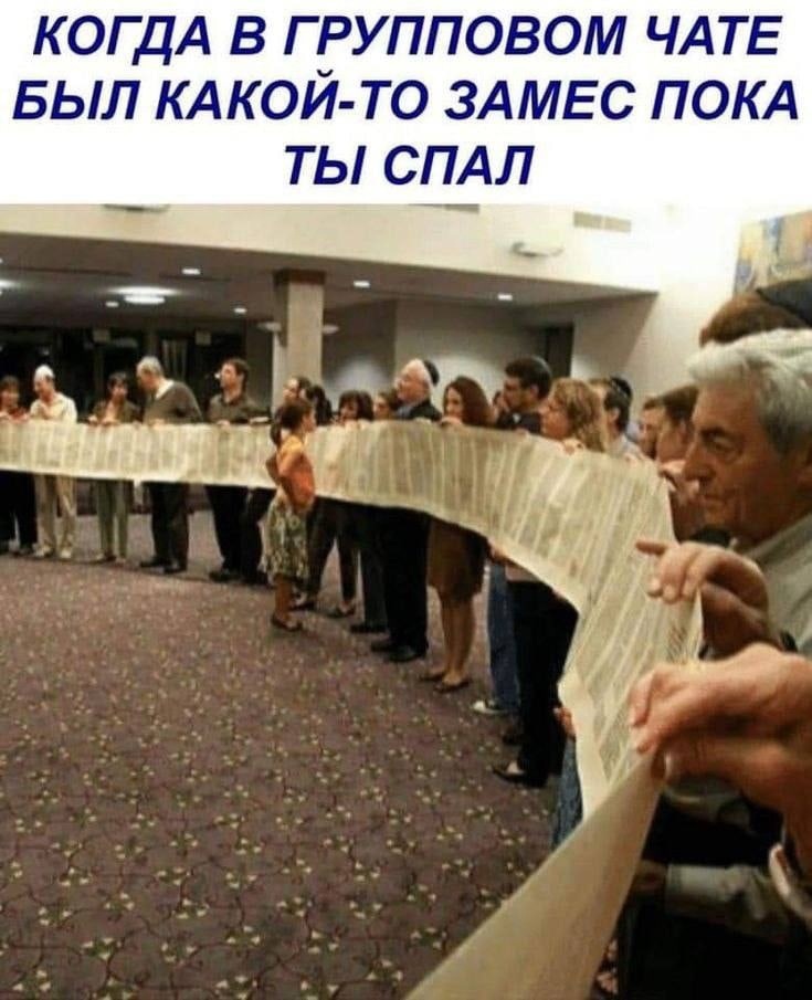 735x905, 161 Kb / чат, замес