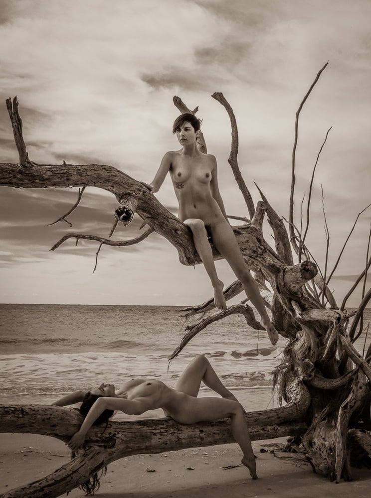 744x1000, 106 Kb / женщины, коряга, пляж, воды, ч/б