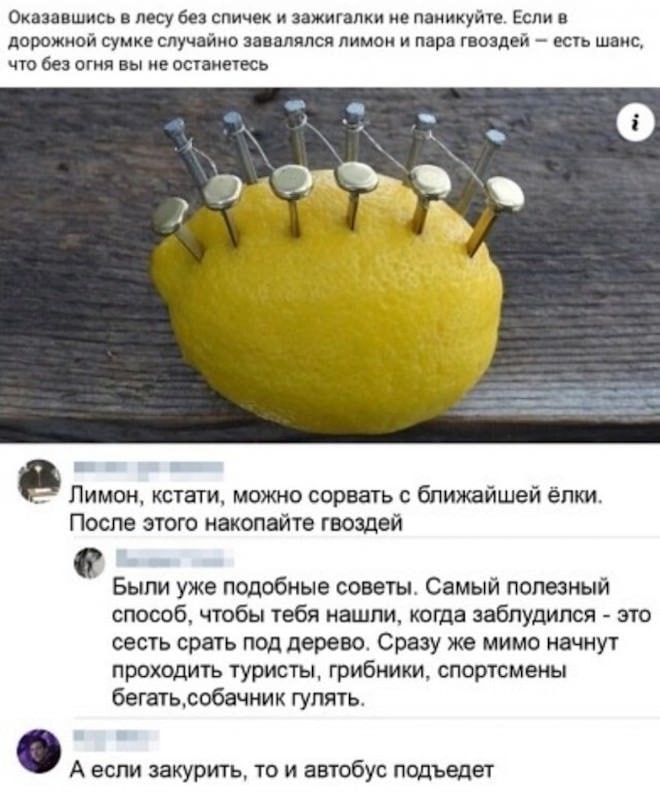 660x792, 71 Kb / Лайфхак, лимон, лес, заблудился