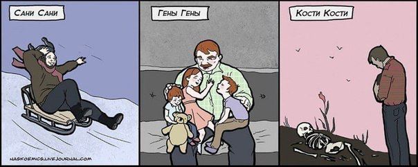 604x241, 32 Kb / сани, гены, кости