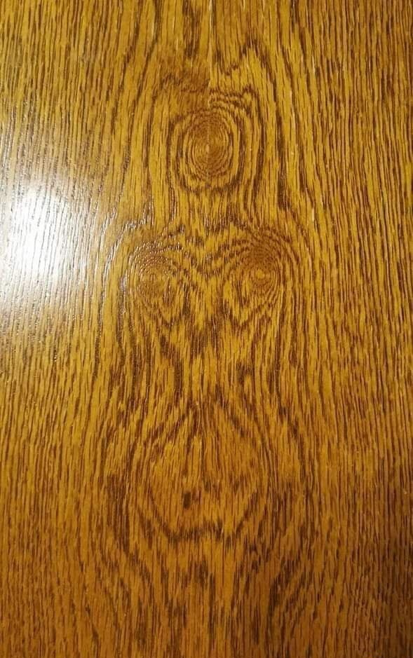 589x939, 145 Kb / Силуэт, женщина, дерево, рисунок