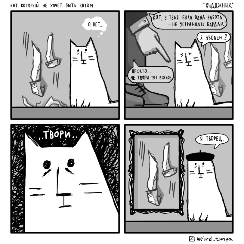 811x811, 182 Kb / кот, обои