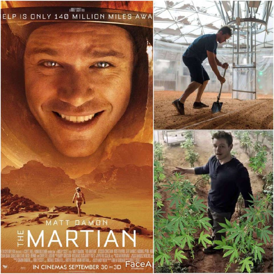 900x900, 228 Kb / Martian, matt, damon, марсианин, фильм, мэтт, дэймон, марихуанна, конопля