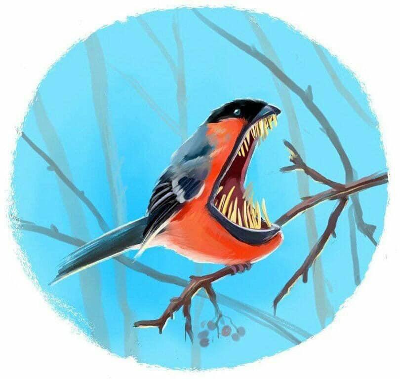 810x768, 60 Kb / снегирь