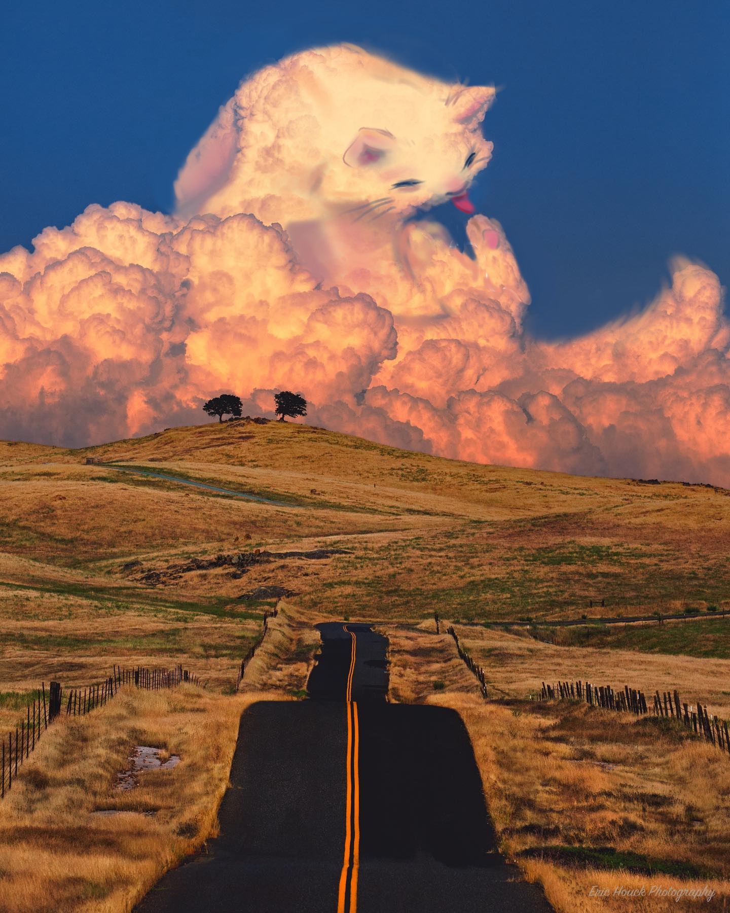 1440x1800, 586 Kb / небо, кот, дорога, облака, забор, холмы