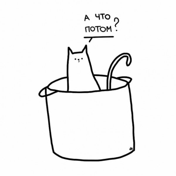 600x600, 14 Kb / кот, кастрюля