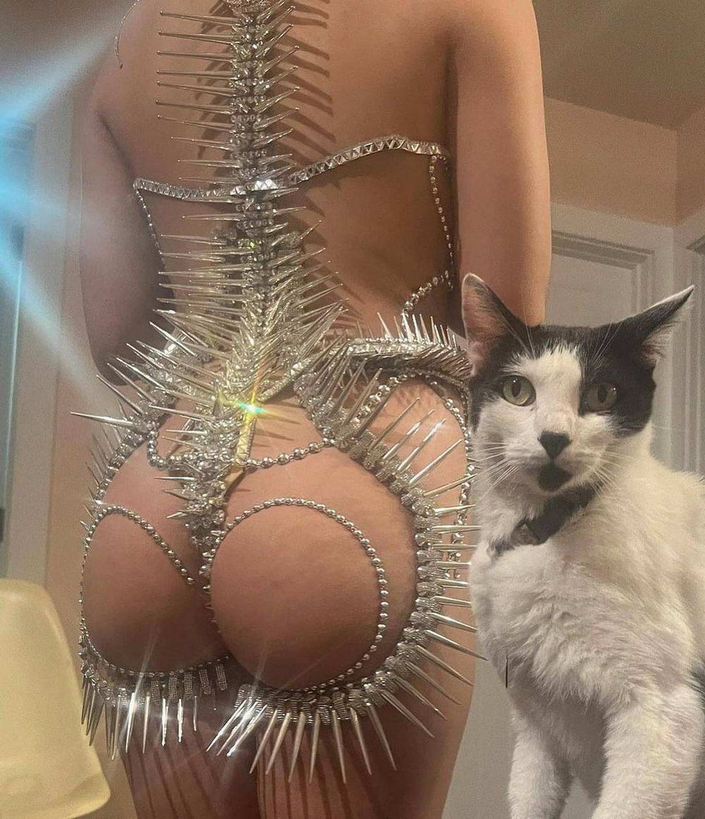 1001x1163, 167 Kb / украшение, шипы, попка, кот, кошка, без головы