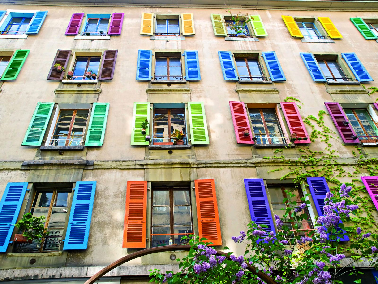 1600x1200, 479 Kb / окно, ставни, растение, цветок