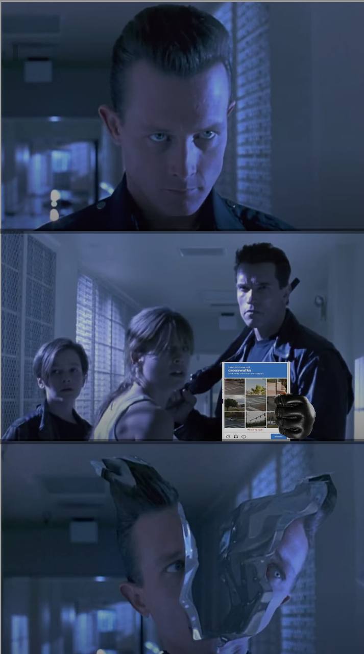 713x1280, 61 Kb / Терминатор, капча