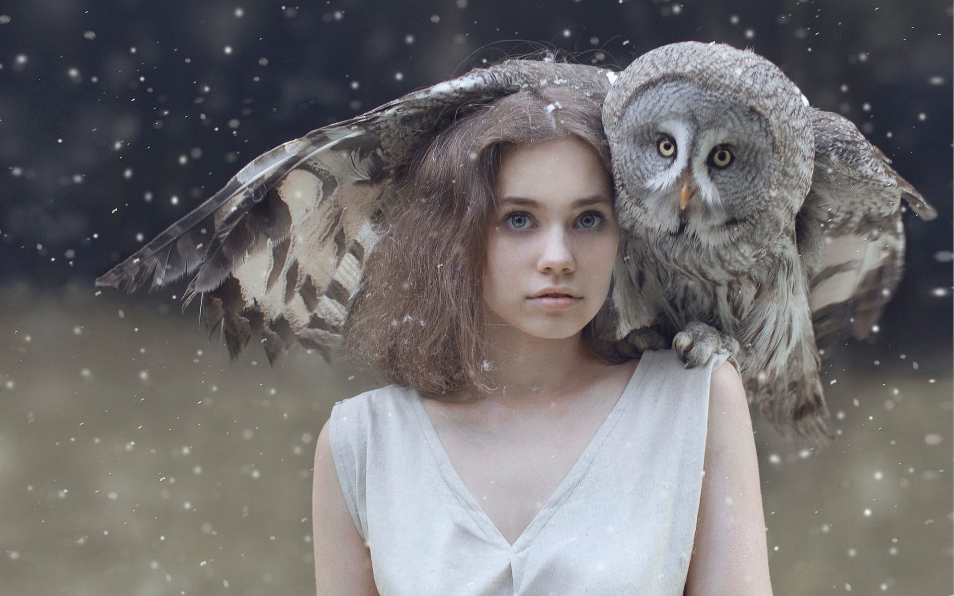 1920x1200, 315 Kb / девушка, сова, крыло, снегопад