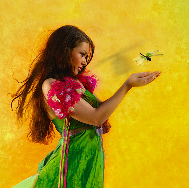 604x600, 167 Kb / девушка, стрекоза, позитив