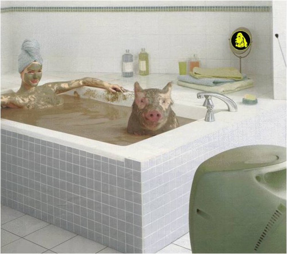 1000x884, 111 Kb / женщина, свинья, ванная, вода, грязь, полотенца, тюрбан