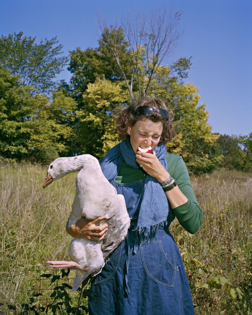 862x1080, 346 Kb / гусь, яблоко, очки, трава, украшение