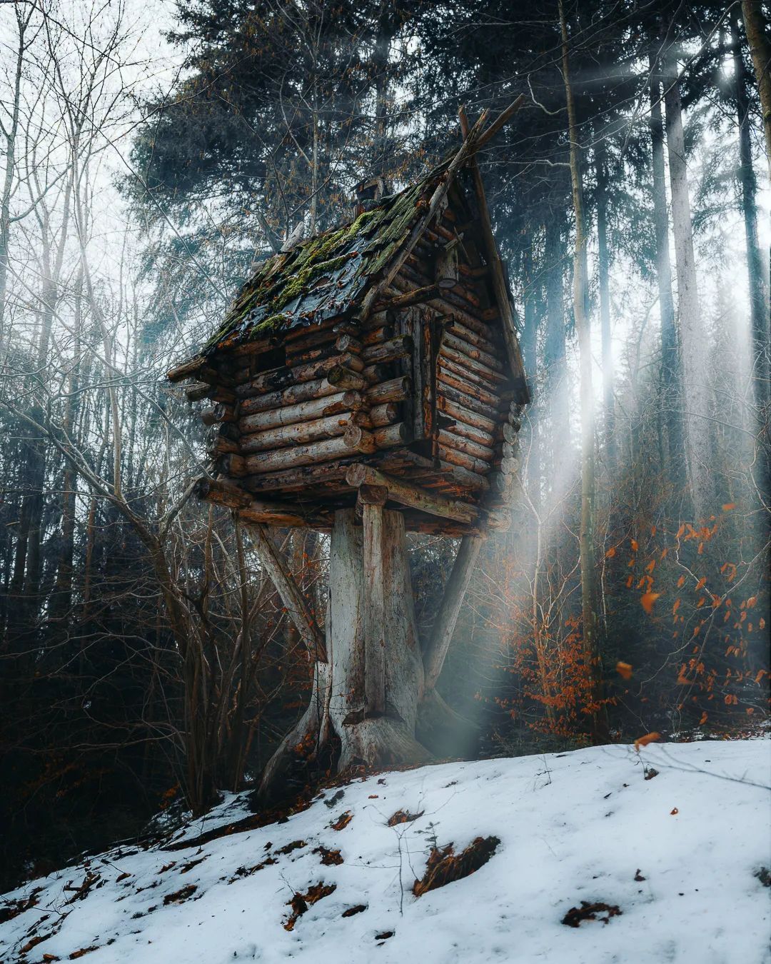 1080x1350, 365 Kb / избушка, дом, лес, снег