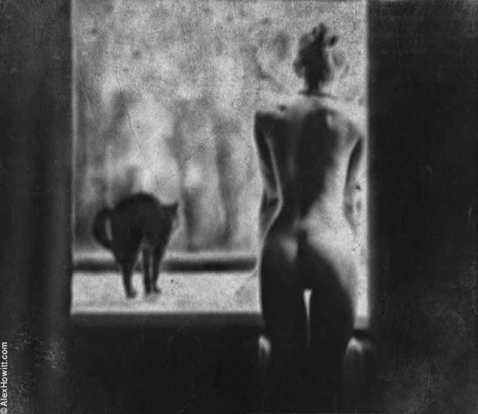 1920x1662, 124 Kb / Ч/б, окно, девушка, кошка, Алекс Ховитт, Alex Howitt