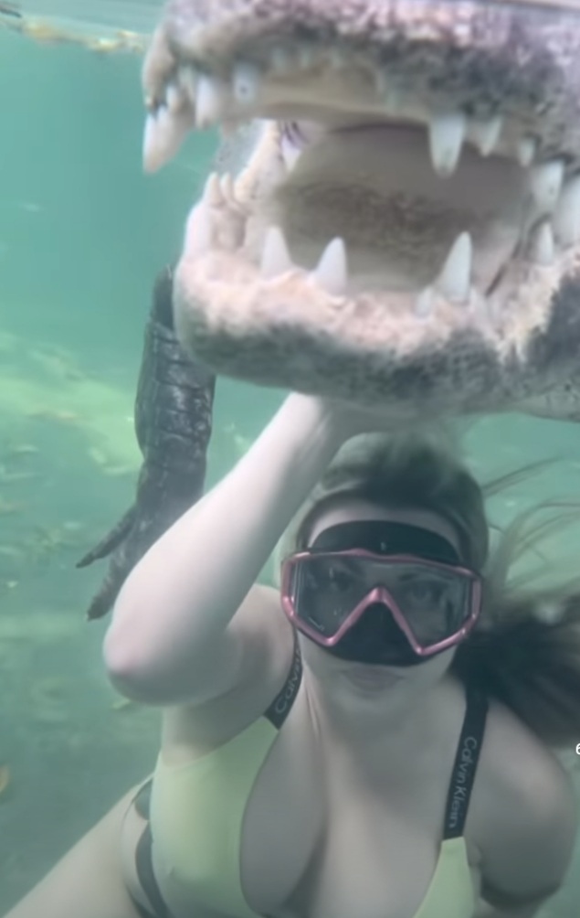 635x1004, 87 Kb / Крокодил, девушка, под водой, маска, gabbynikolle