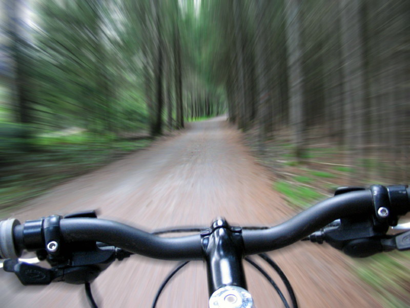 800x600, 97 Kb / велосипед, руль, скорость