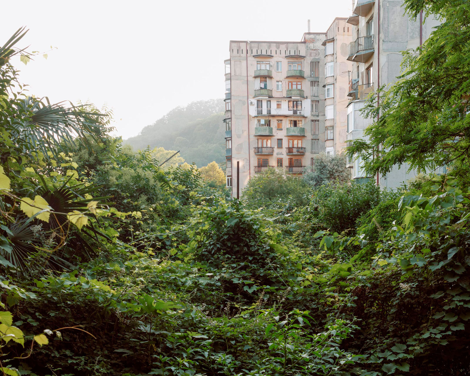 1600x1280, 612 Kb / панельный дом, балкон, зелень