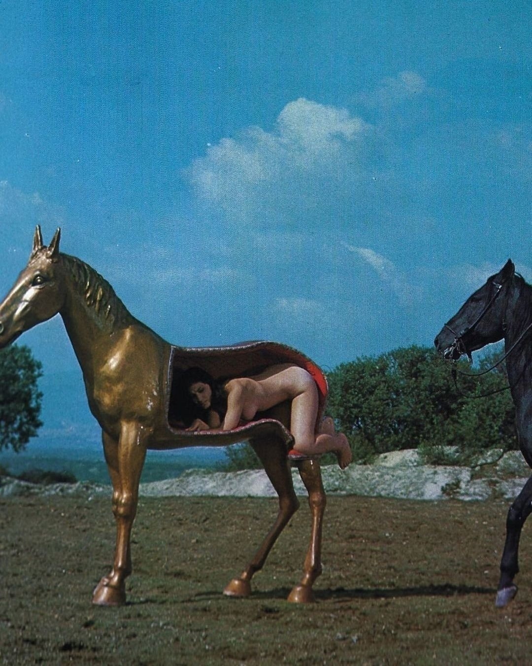 1080x1351, 494 Kb / конь, лошадь, манекен