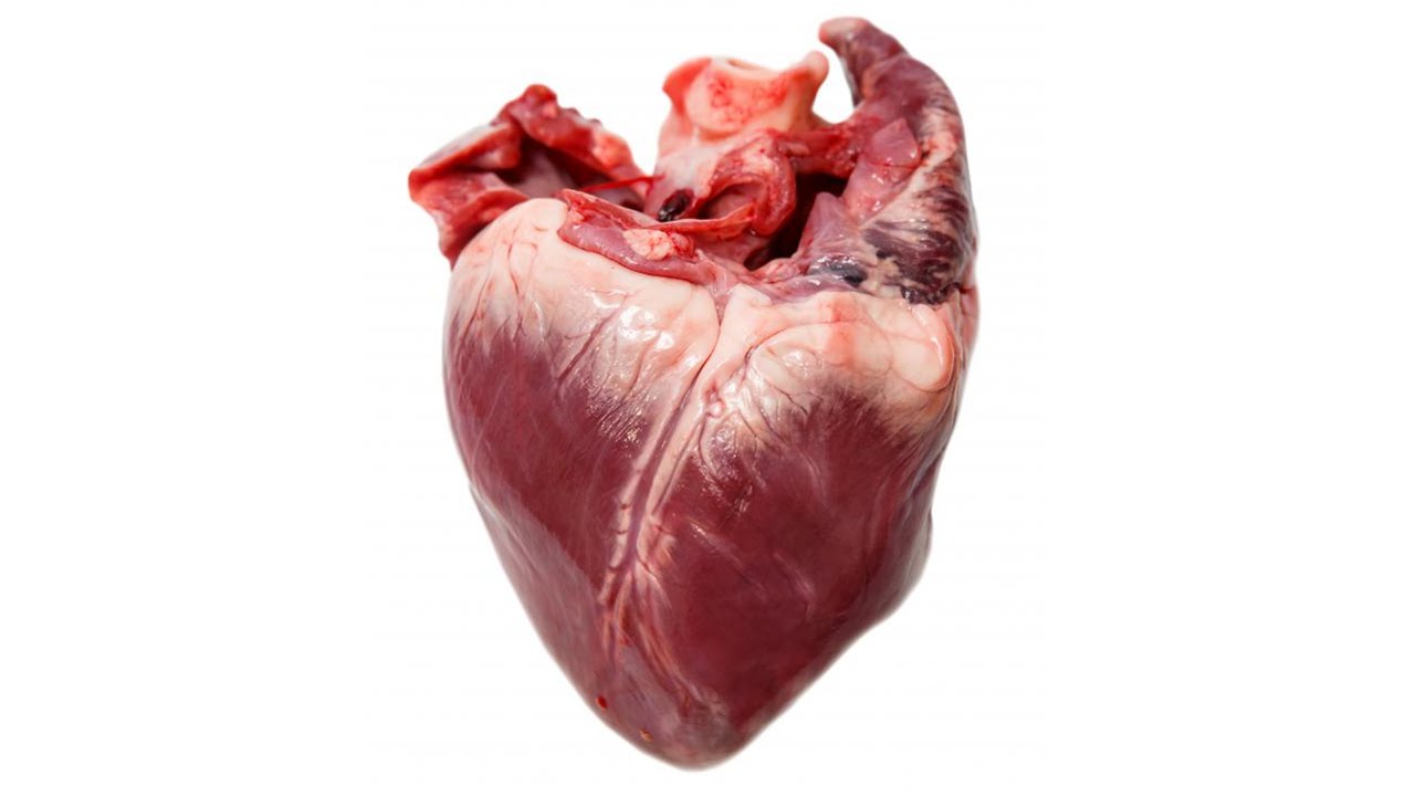 1280x720, 54 Kb / сердце, человеческое