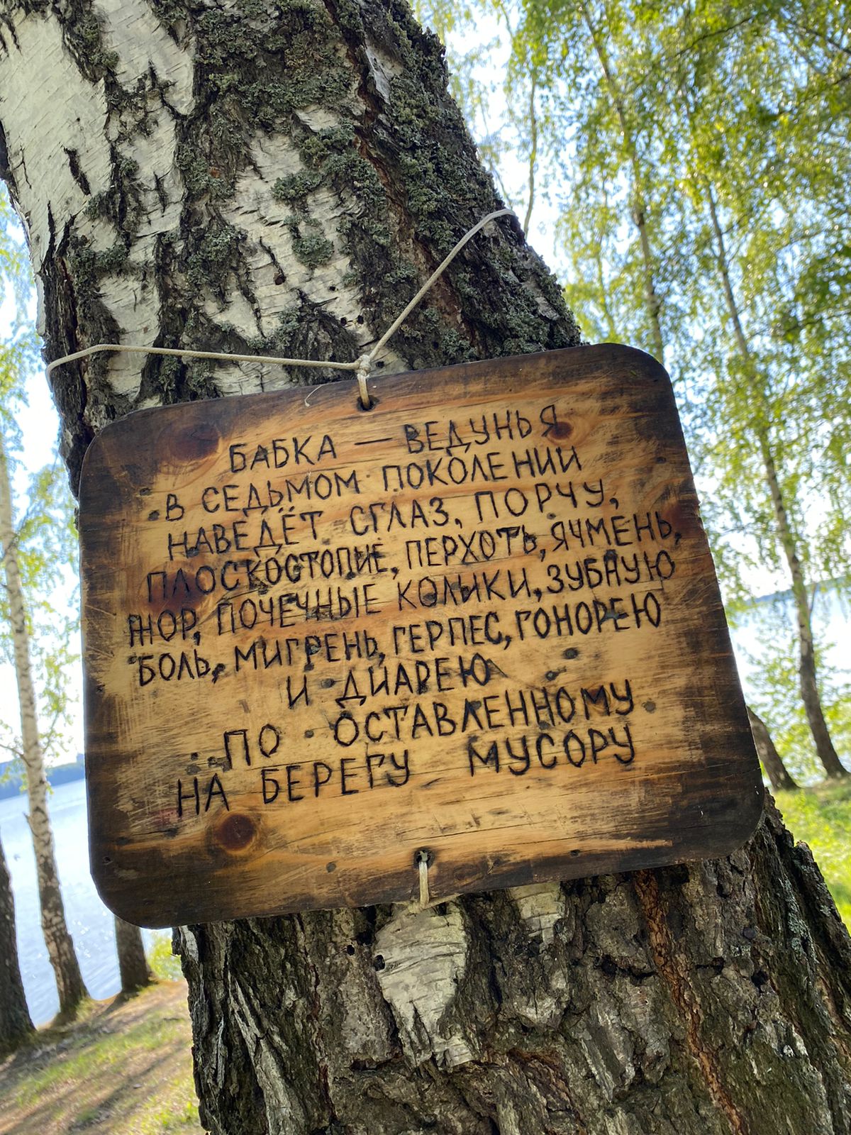 1200x1600, 477 Kb / Вода, березы, табличка, предупреждение, порча