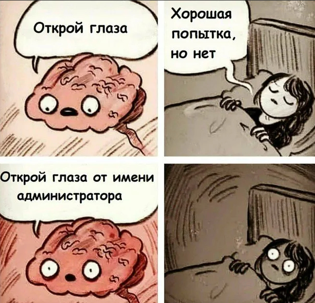 648x623, 411 Kb / мозг, глаза, администратор