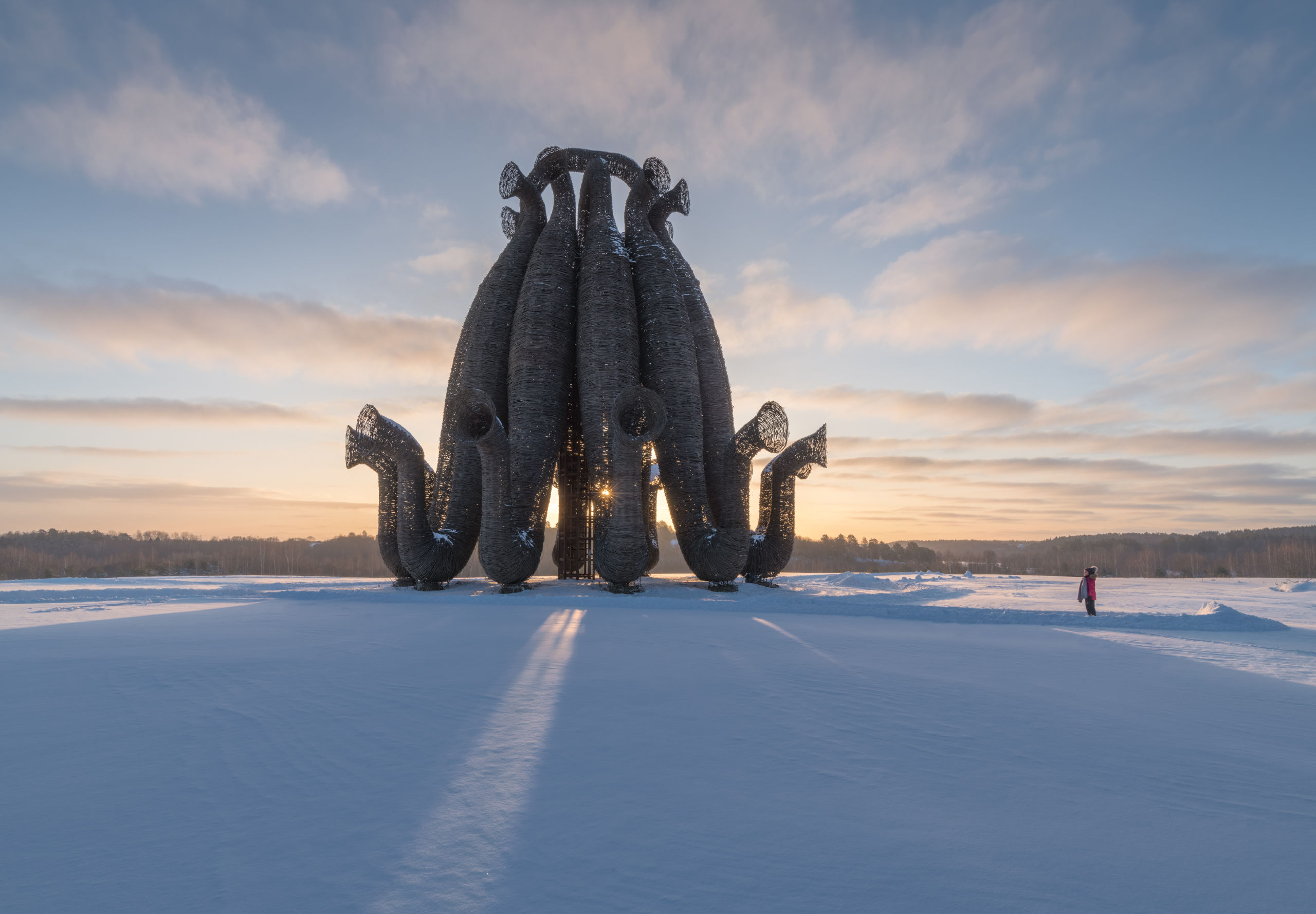 2560x1779, 373 Kb / Калуга, парк, скульптура, Никола-Ленивец, арт-парк, снег, поле, небо, проволока, хобот