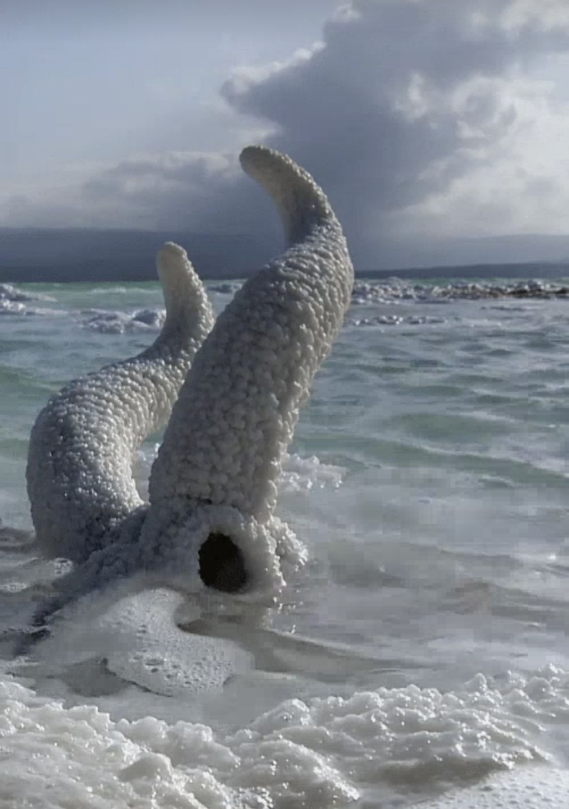 1125x1598, 137 Kb / череп, рога, вода, соль