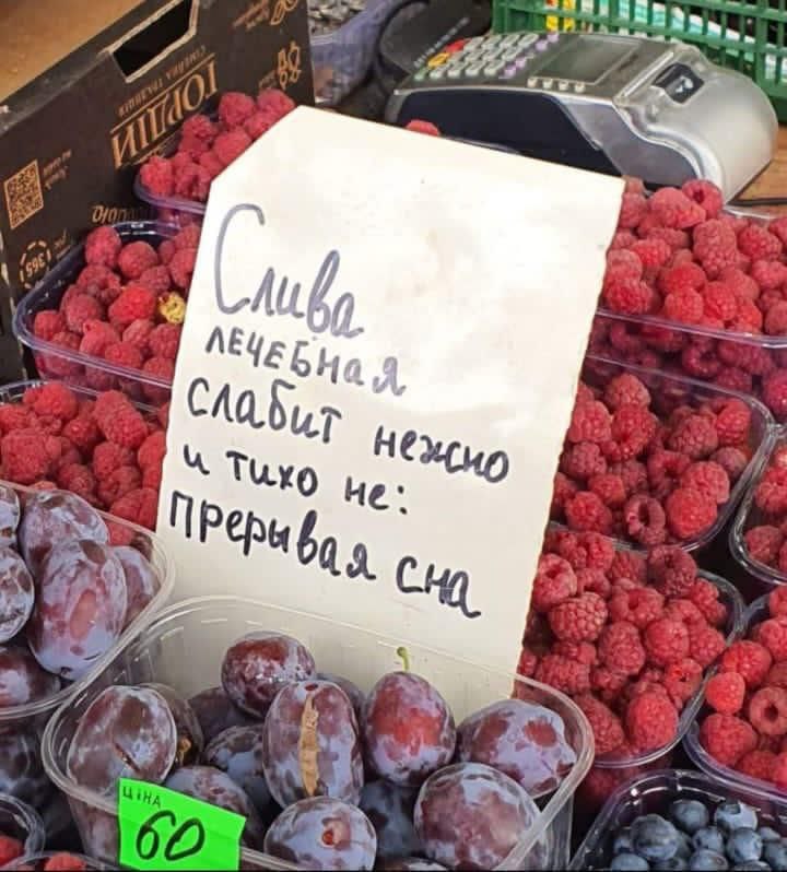 720x798, 83 Kb / малина, слива, лечебная