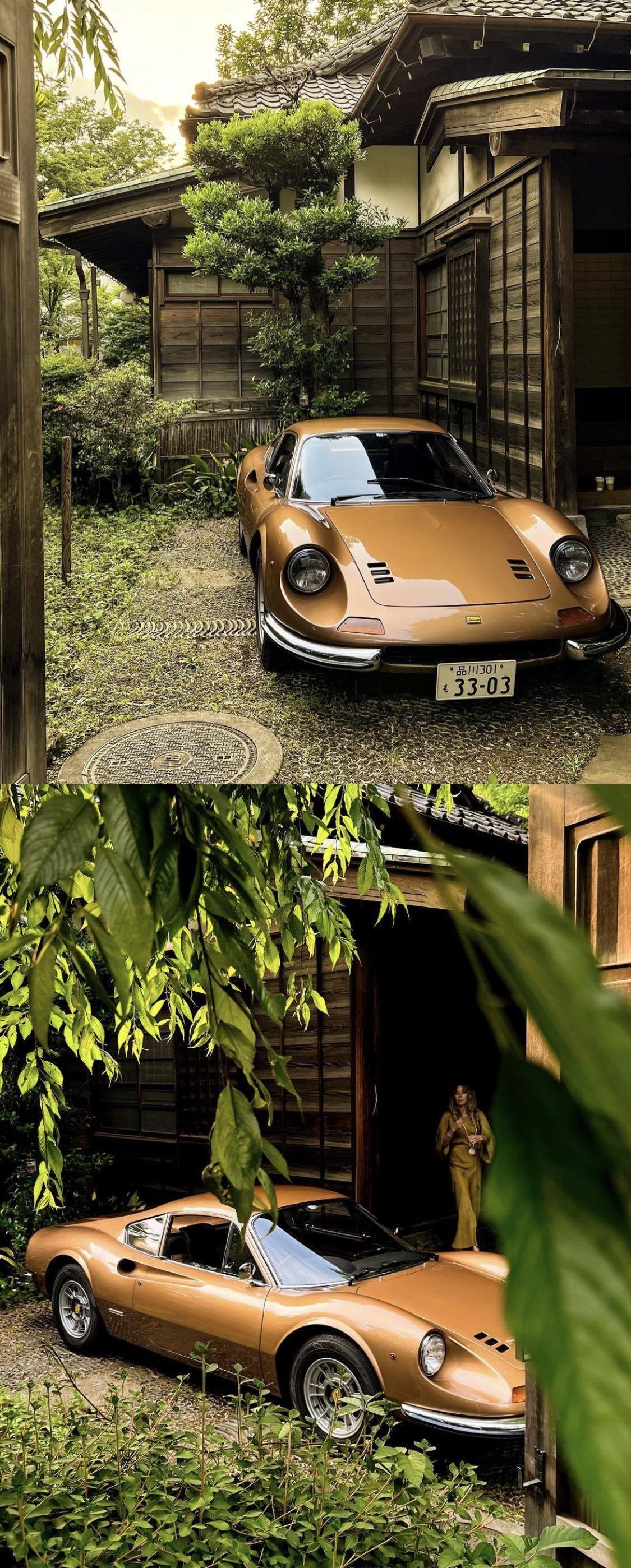 1125x2797, 601 Kb / автомобиль, классика, ретро, Ferrari, Ferrari Dino