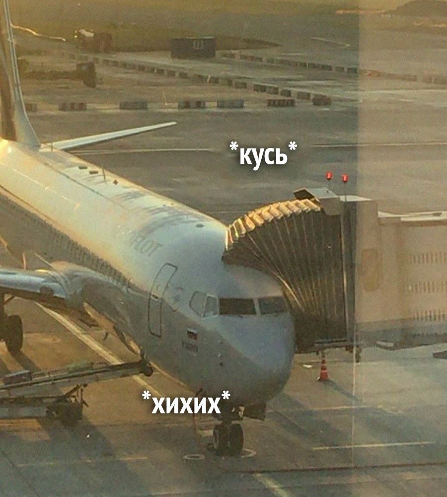 900x1001, 115 Kb / самолёт, трап, кусь