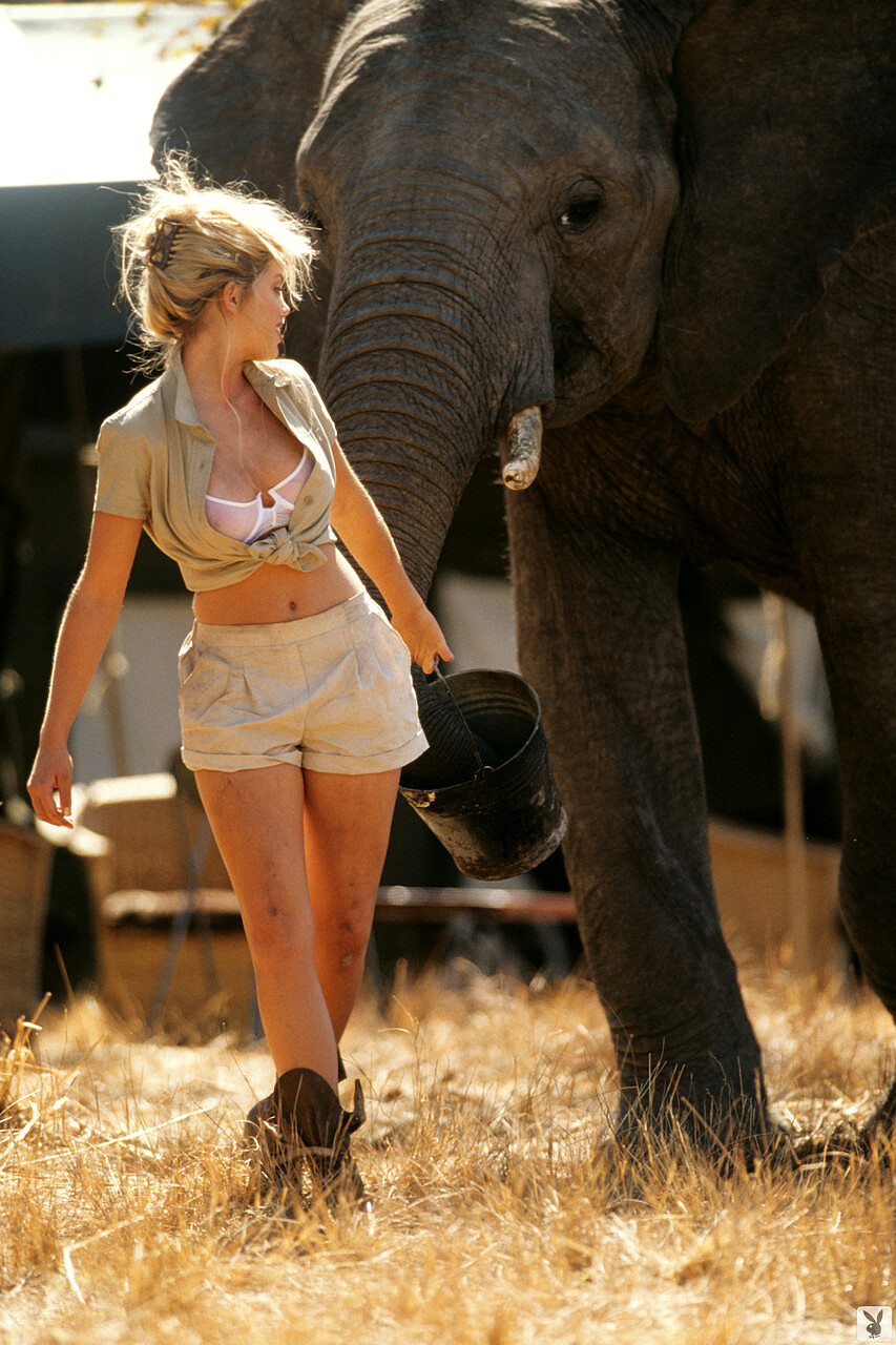 853x1280, 319 Kb / Слон, ведро, шорты, jami ferrell, rachel jean marteen, Playboy, safari, сафари
