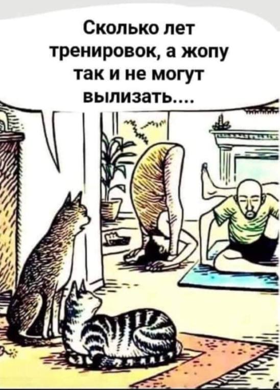 548x764, 60 Kb / Кот, кошка, лизать, жопа, гимнастика, тренировка, йога