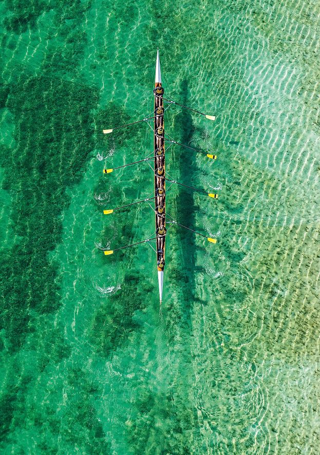 623x886, 203 Kb / Гребля, лодка, весло, вода