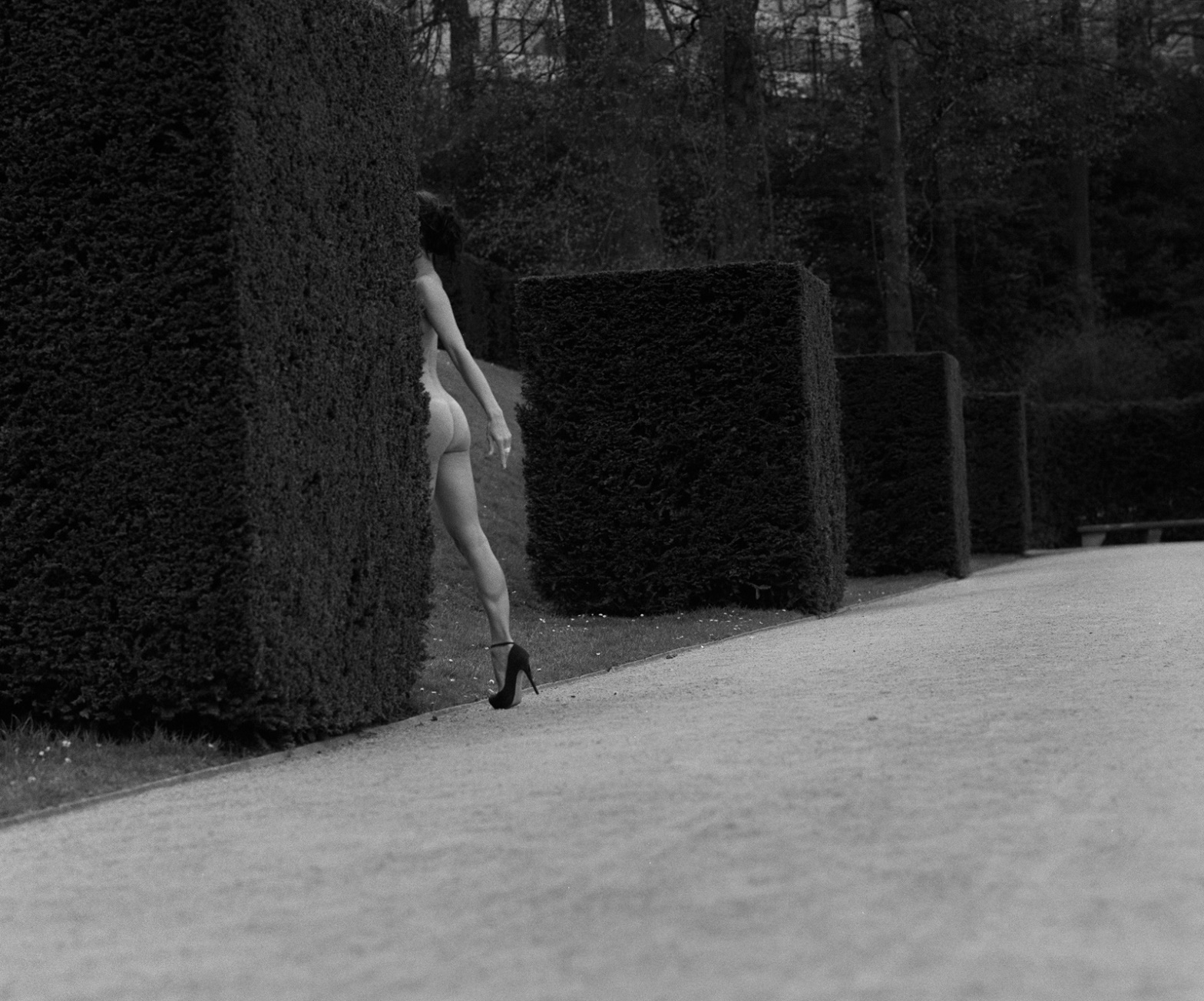 1568x1304, 621 Kb / ч/б, куб, куст, попка, нога, аллея