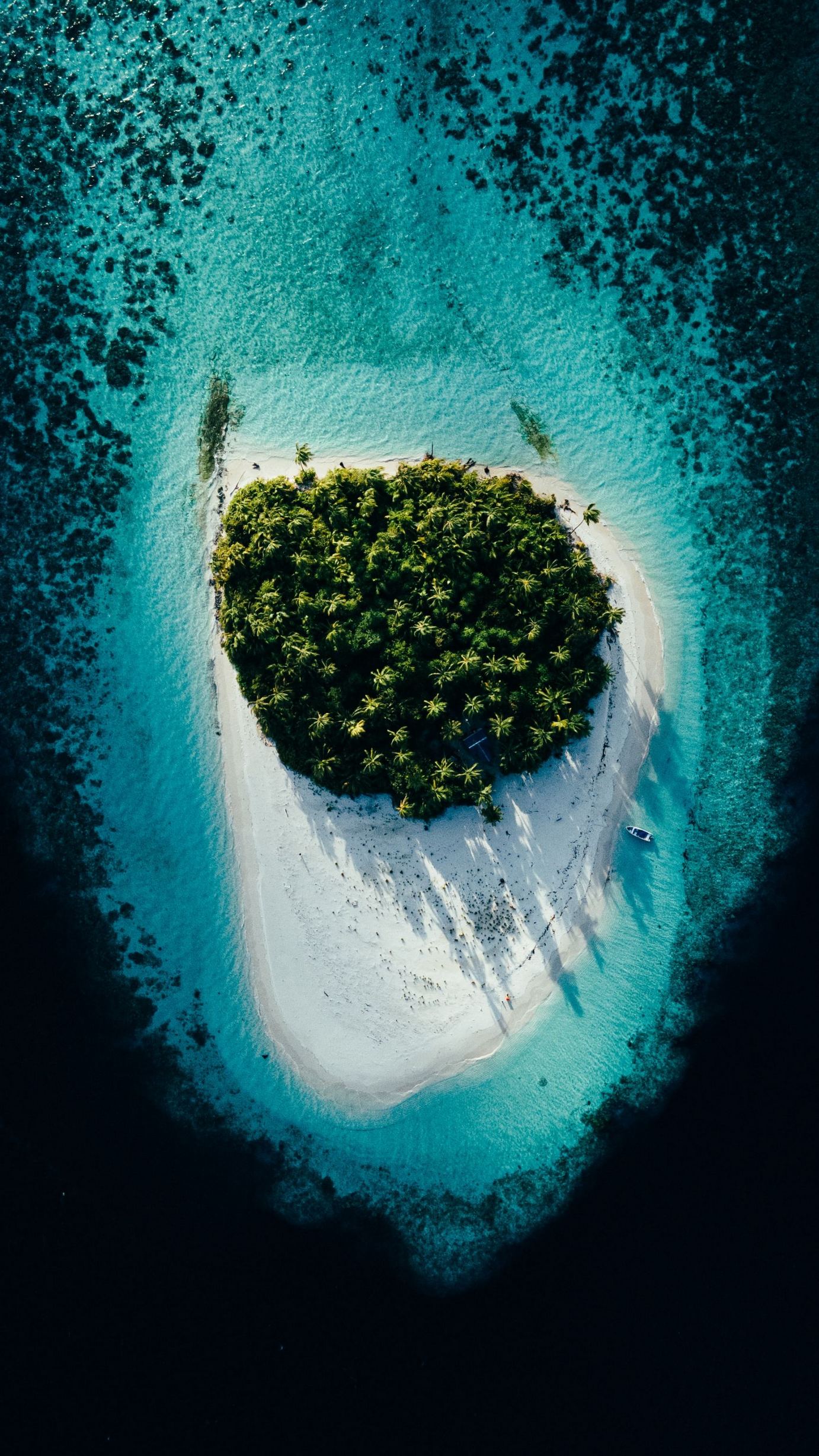 1382x2457, 544 Kb / остров, пальма, тропики, лодка, сверху