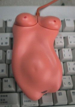 250x355, 12 Kb / мышка, клавиатура