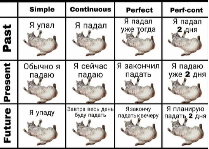 700x498, 223 Kb / Кошка, кот, английский язык, время, времена