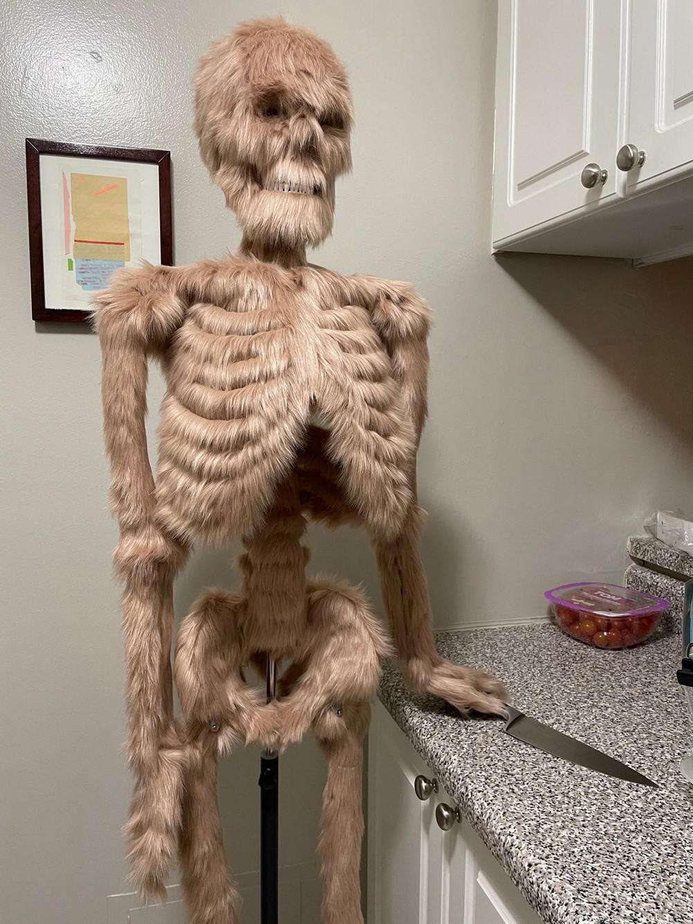 1001x1335, 192 Kb / скелет, мех, шерсть, нож, кухня, помидоры